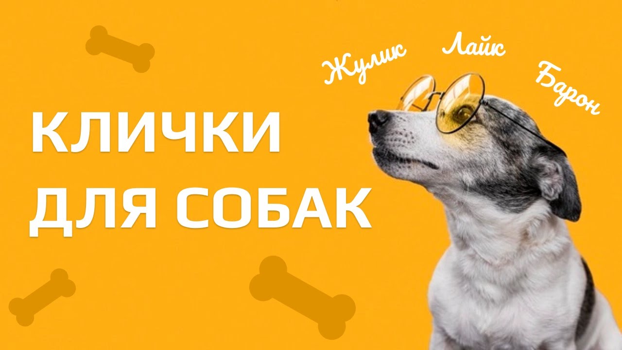 имена собак для девочек крупных пород