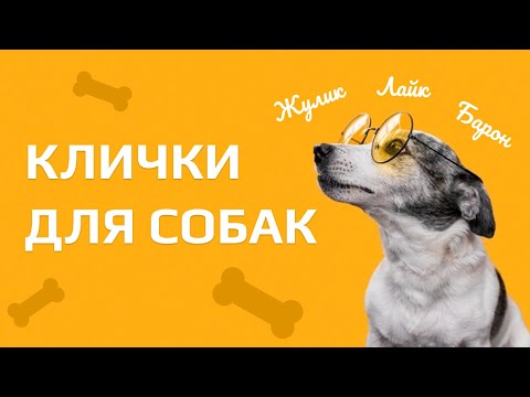 Клички для собак