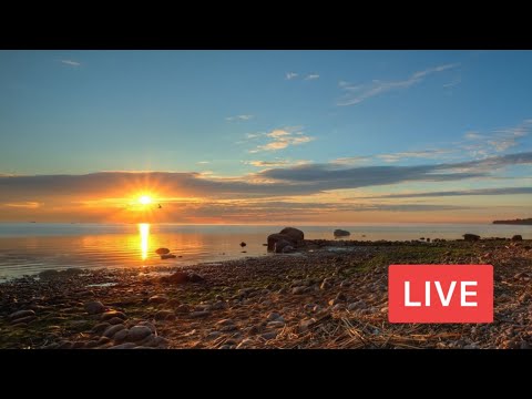 Meeting the Sunset on Gulf of Finland. Coastline from Repino to Sestroretsk, St Petersburg. LIVE