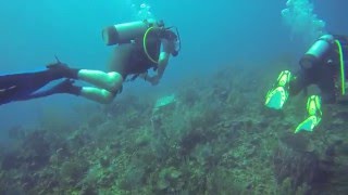 Hamanasi Hopkins Belize Southern Barrier Reef Jasons' Wall Dive 1 Feb 2016
