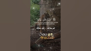 تلاوة خاشعة عطرة مباركة جميلة عذبة للشيخ سعد الغامدي ماتيسر من سورة المجادلة