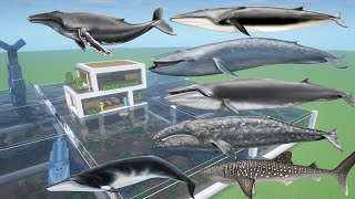How To Make Every Whale Farm in Minecraft PE