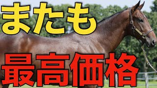 またもあの新種牡馬が最速タイムで最高価格！これは本物かも。