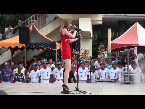 2013太子文化季紘瓦樂團表演~5