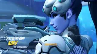 Widow paintball