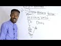 TENSES Simple Present Tense Part One