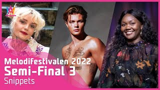 Melodifestivalen 2022 - Semi Final 3 | Snippets Profile