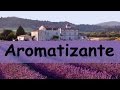 Aromatizante Cheirocar Revenda Aromatizador
