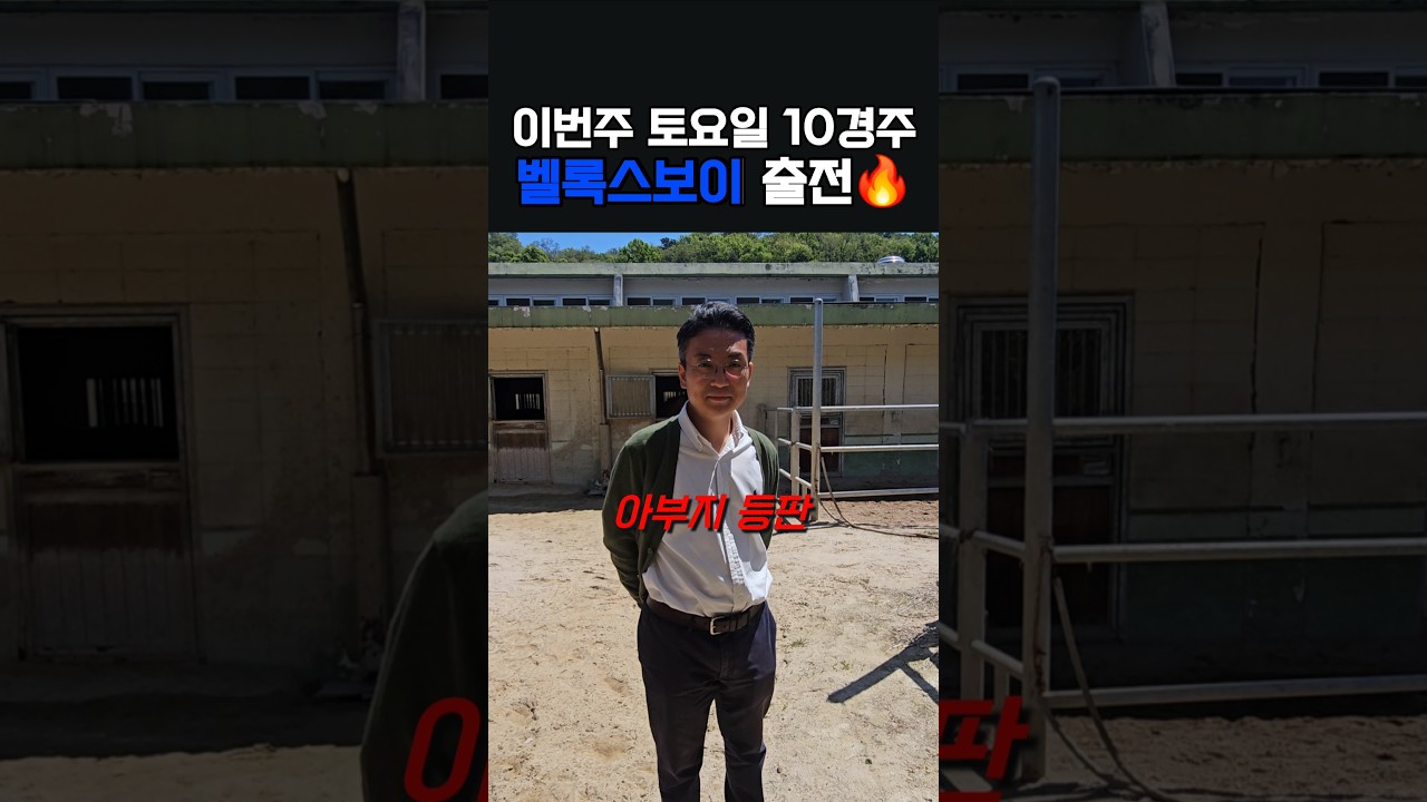 이번주 출전마 벨록스보이🐴 #로기정신차리‼️ #아부지궁서체🔥 #11번게이트어쩔🤦‍♀️