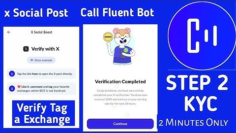 Call Fluent KYC 2 (Tag an Exchanget) X Post verification kyc step by step || call fluent bot KYC