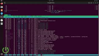 Linux'ta Süreçler Nasıl İzlenir? (htop ile)