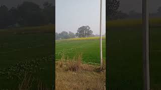 ए हवा मेरे संग संग #song #music #वायरल वीडियो#फनी वीडियो#❤️😭😎😀