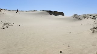 Шелеменские пески: семейный поход, поиск воды, следы волков, большая детская песочница