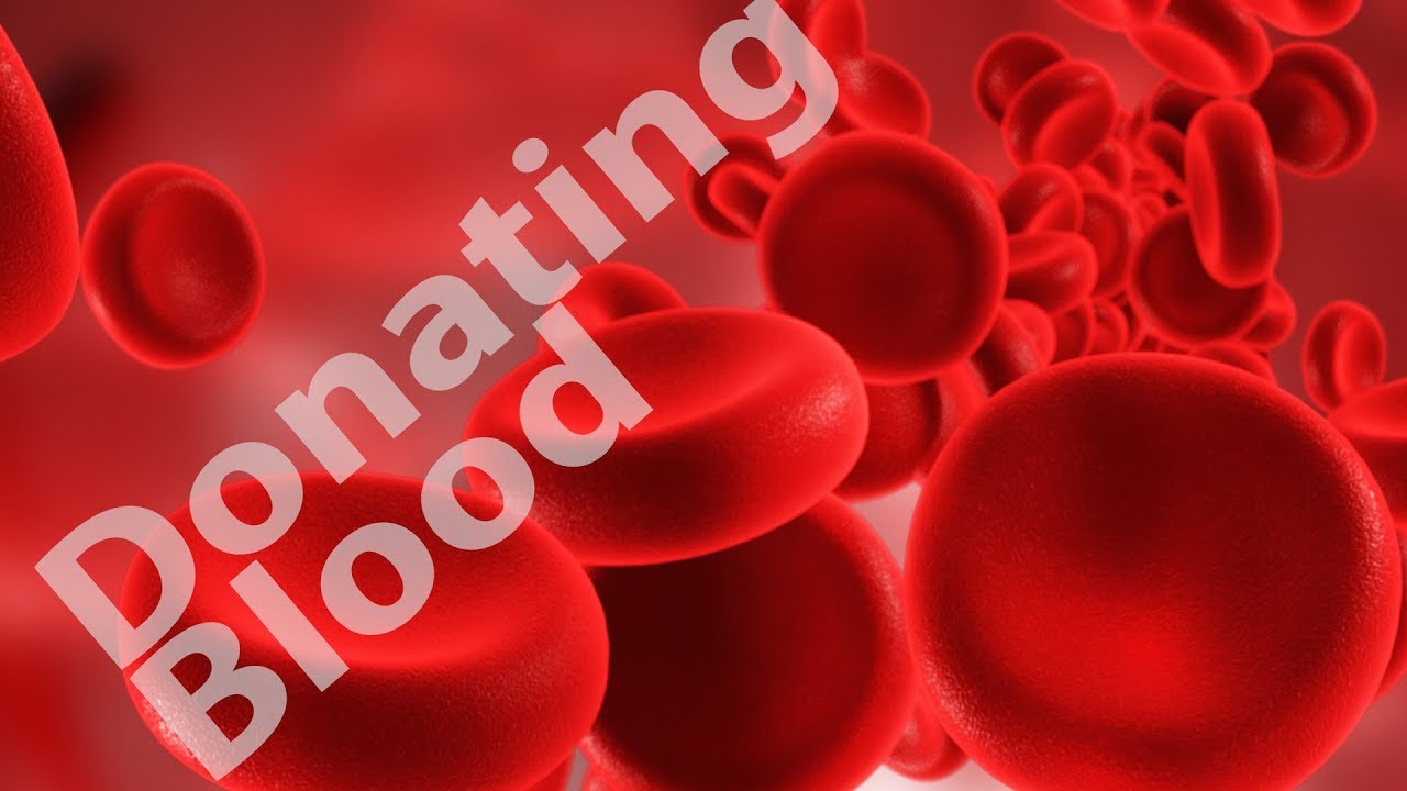 اهمية التبرع بالدم للاعب كمال الاجسام