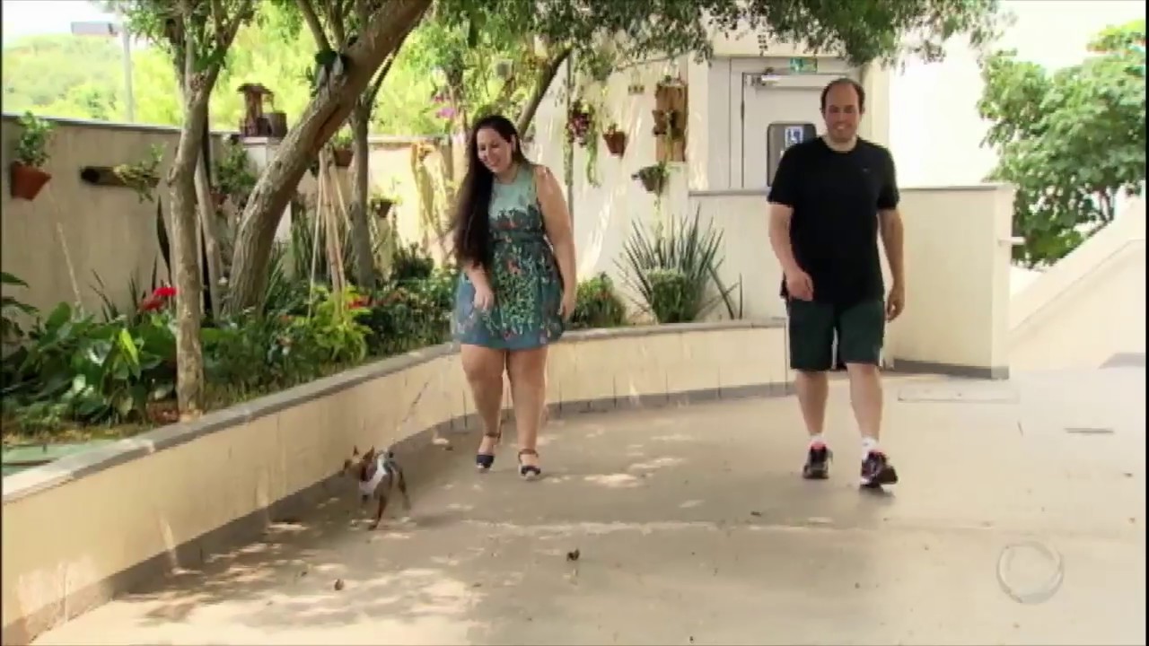 Casal resgata cachorrinha paraplégica que estava prestes a ser sacrificada