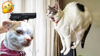 Funny ANIMALS videos Funniest Cats and Dogs 2024 #20