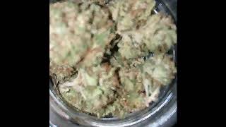 Flavours At Smoke Loud BCN Cannabis Club