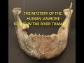 UK Mudlarking - The Mystery of the Human Jawbone found in the River Thames