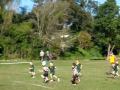 2027 Rugby World Cup Wallaby