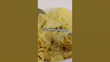 Unlocking the Secrets of Everyday Objects