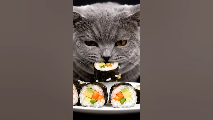 Watch the video about British Shorthair Eats Vegan Sushi | Crunchy, Juicy & Satisfying Eating Sounds | Cat ASMR