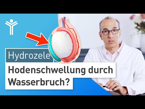 Video: Wie man sich um eine Chamäleon-Augeninfektion kümmert