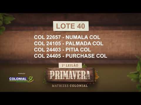 LOTE 40   COL 22657,24105,24403,24405