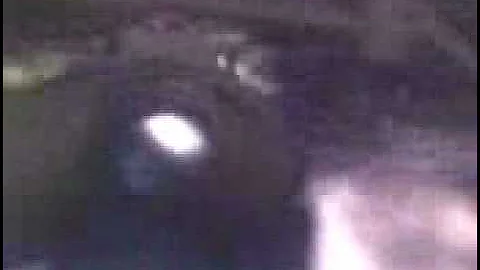 cod 5 makin or makin day glitch!