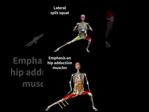 Lateral Split Squat