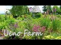 Ueno Farm 2021. Plants of a Snow forest climate are in full bloom in Hokkaido. 上野ファーム #4K #オープンガーデン