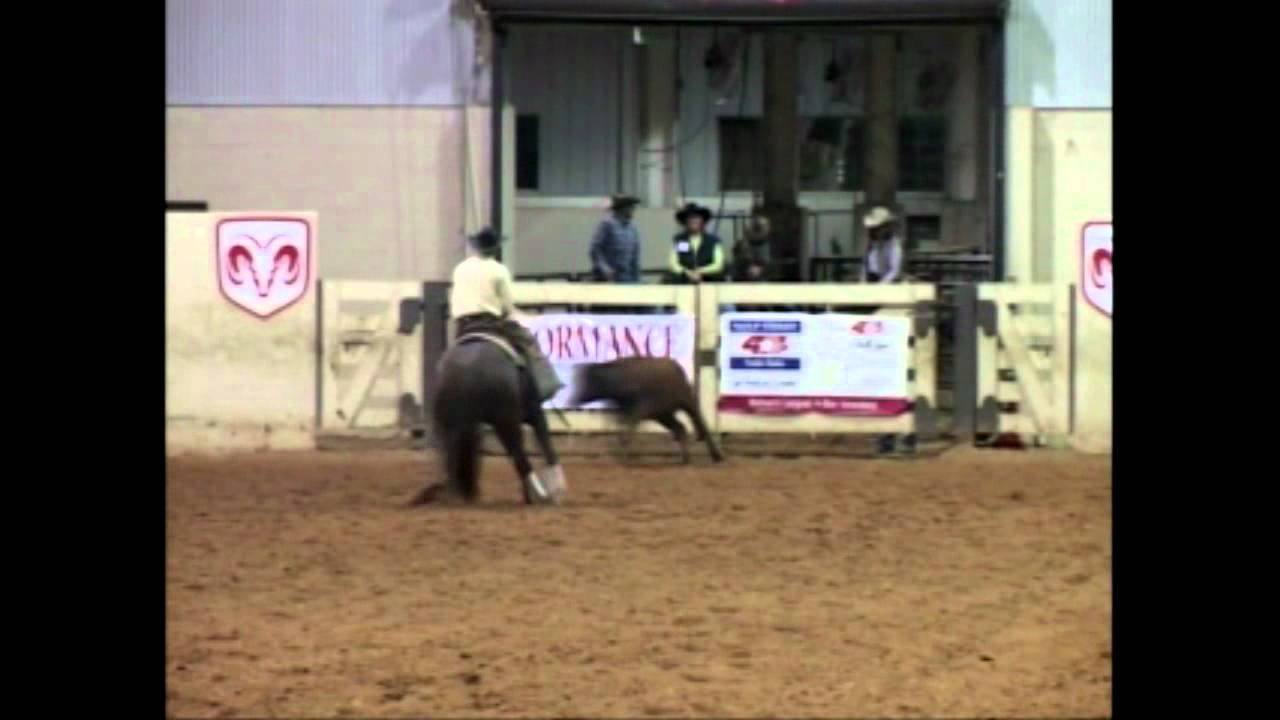 Stock Horse of Texas Judge's Corner Working Cow Horse Open/Non Pro