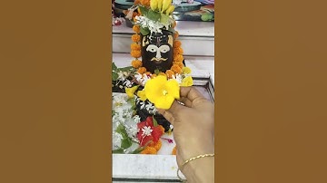 कनेर का पुष्प कैसे चढ़ाते हैं? #pradeepmishraji #shivmahapurankatha #shivling #pushp