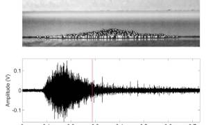 Granular column collapse with associated acoustic/seismic signal
