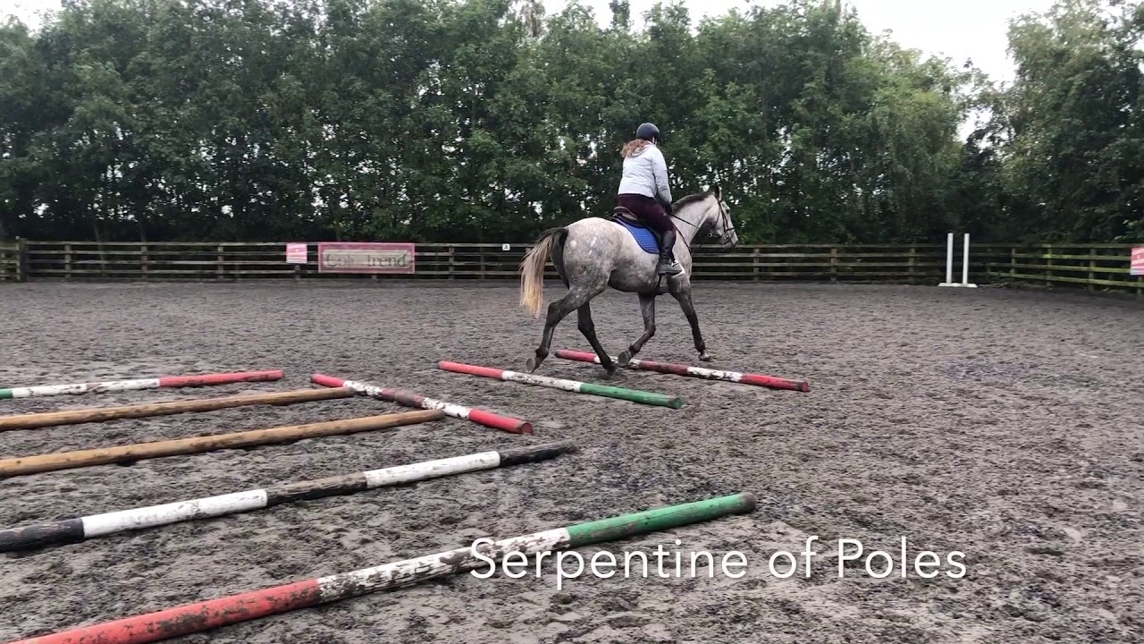 Two Simple Pole Exercises for Young Horses - YouTube