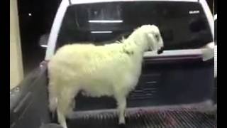VID-20131010-WA0000.mp4