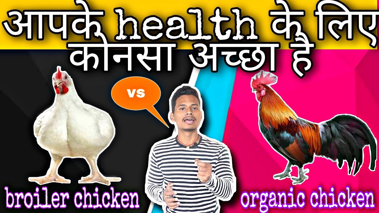 Broiler chicken vs organic chicken which is better for healthbroiler