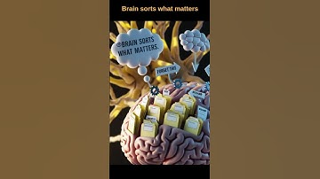 How Your Brain Stores Memories – Fast Visual Guide!? #memories #brain