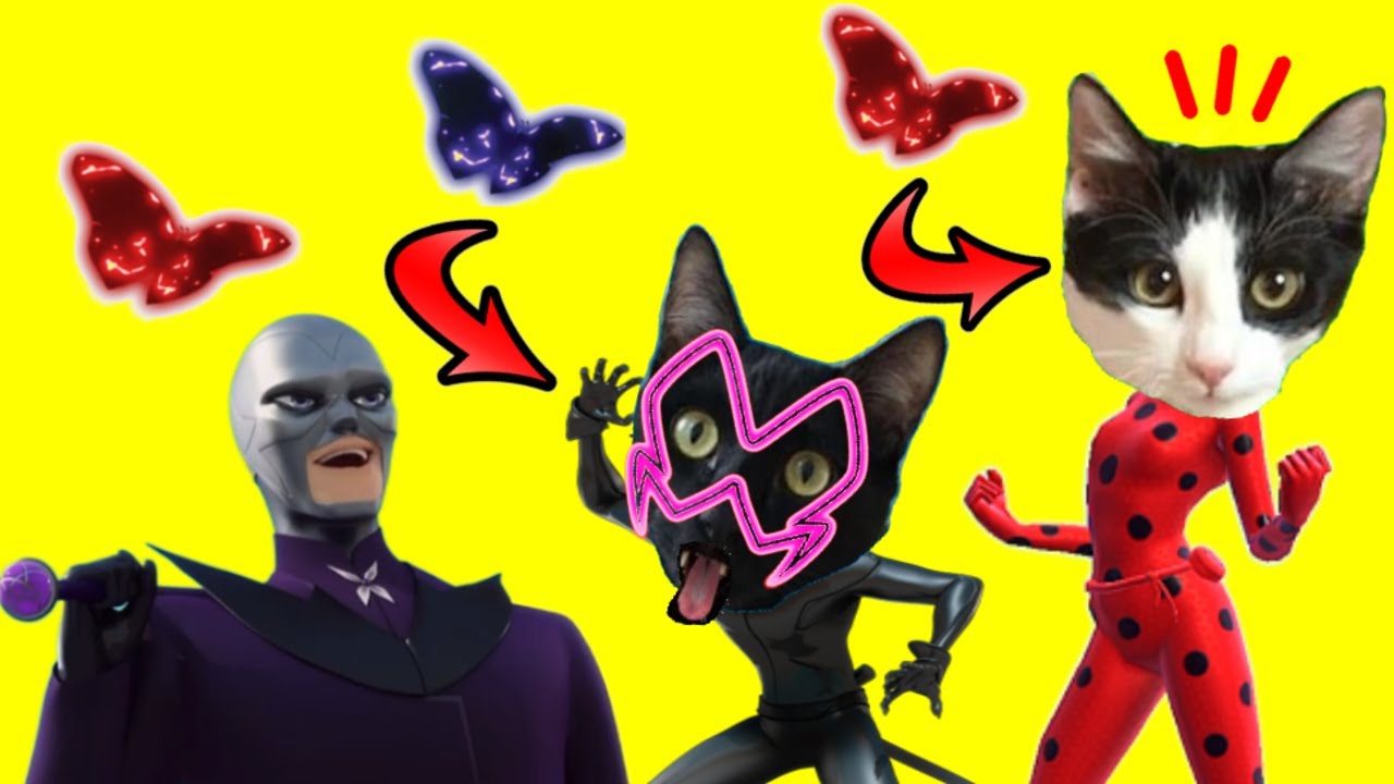 Gato jugando a MIRACULOUS LADYBUG Y CAT NOIR VS LEPIDOPTERO con Luna y Estrella / Videos de gatos