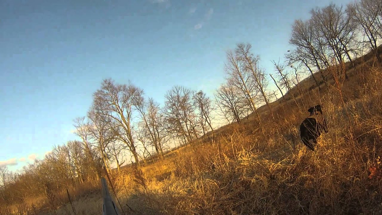 Sm Creek Duck Hunting 