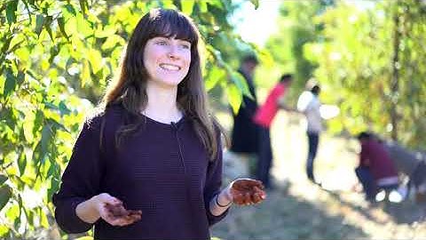 Course - Environmental measurement modelling and monitoring