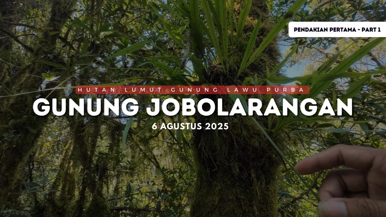 VLOG PENDAKIAN JOBOLARANGAN - VIA WONOMULYO MAGETAN - HUTAN LUMUT ASRI - GUNUNG LAWU PURBA - PART 1