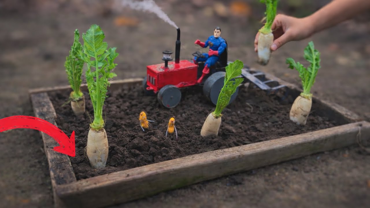 DIY Mini Tractor Farming in Real Soil | Toy Tractor Experiment