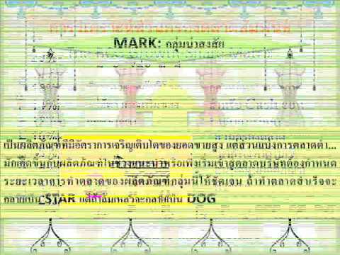 ตัวอย่าง การ วิเคราะห์ bcg matrix  2022 Update  การบริหารเชิงกลยุทธ์/sec.2/การวิเคราะห์ PIMS,Nine-Cell Matrix และ BCG Matrix