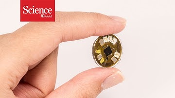 This button-sized device could tell you if you’re getting too much sun