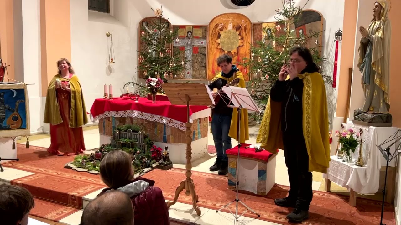 Hraběšice ,vánoce 2023 - Musicus catus