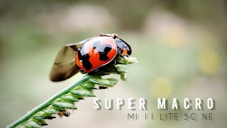 MI 11 LITE 5G NE -Supe Macro Camera screenshot 5