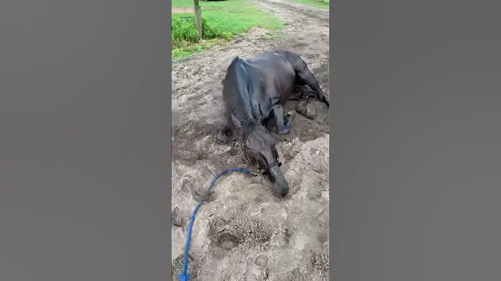 Reap rolling
