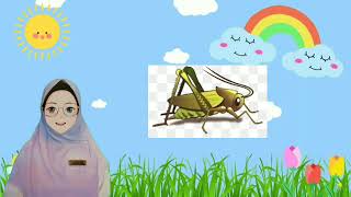 BAHASA JAWA KELAS 1 ( Swara Kewan)