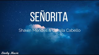 Señorita Türkçe Çeviri - Shawn Mendes Camila Cabello