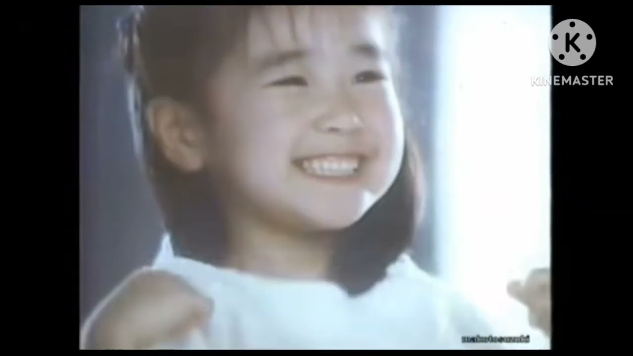 Soflan Commercial History